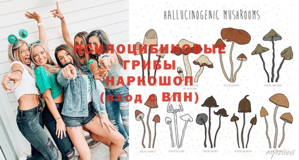 Альфа ПВП Коряжма
