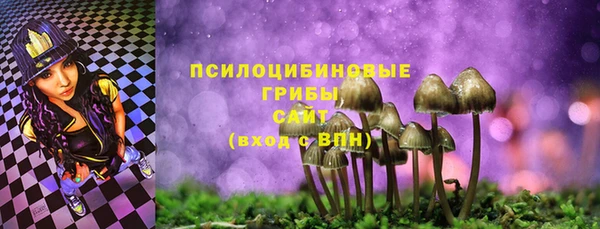 прущие крисы Краснотурьинск