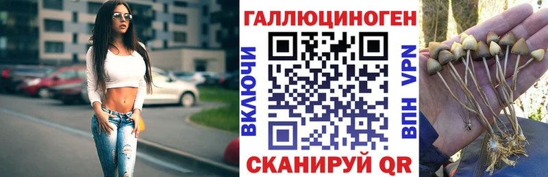 как найти закладки Арзамас Псилоцибиновые грибы MAGIC MUSHROOMS